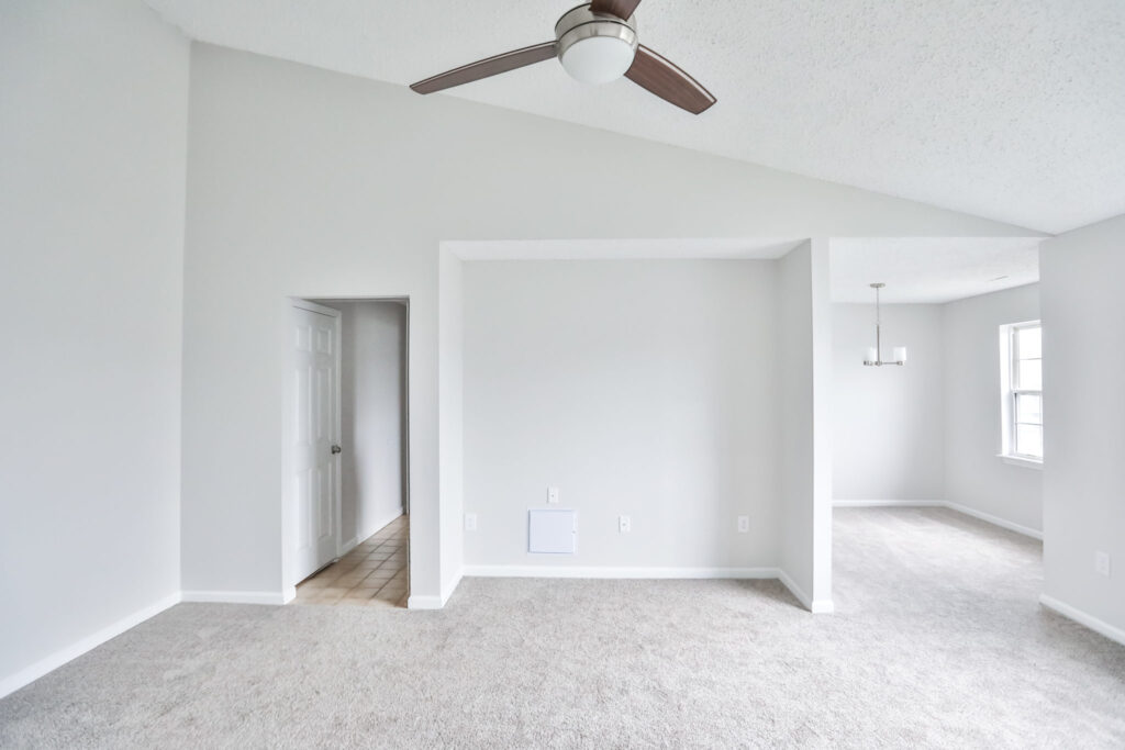 Light-Filled Spaces